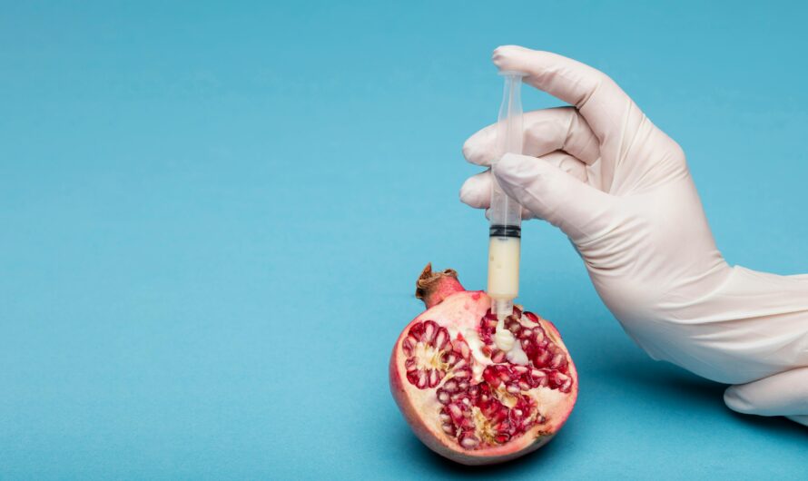 Understanding GMOs: Benefits, Concerns, and the Future of Food